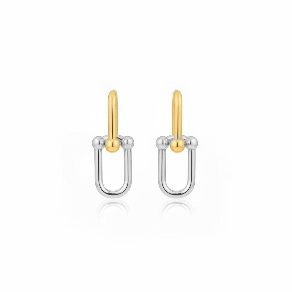 Two-tone Chunky Earrings